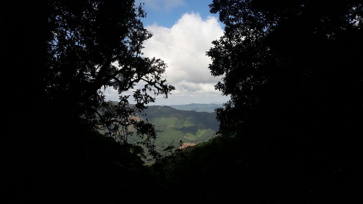 Love this view