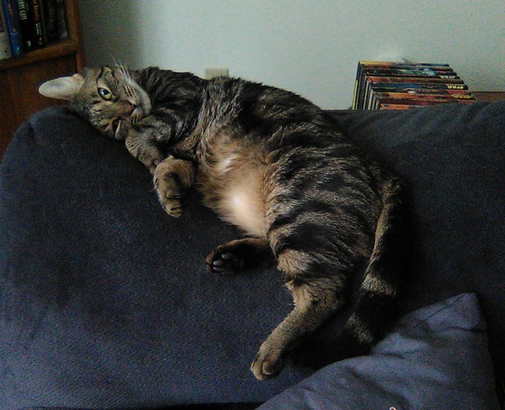 Asleep but with one eye open