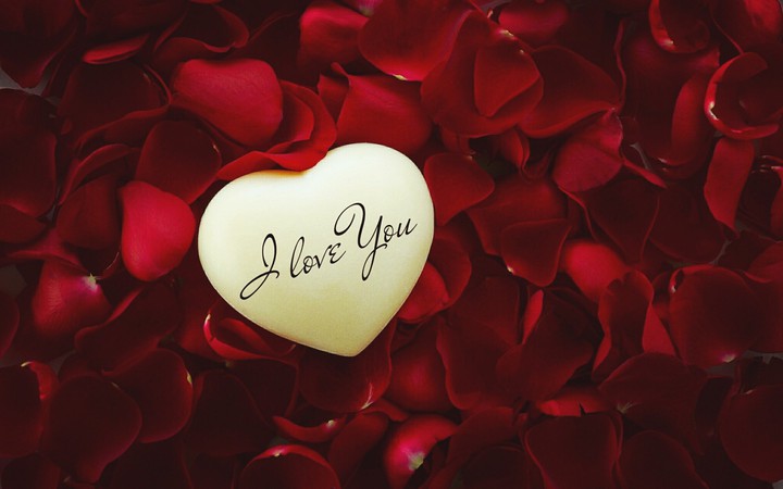 love