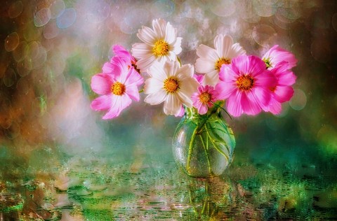papéis de parede spring, pink