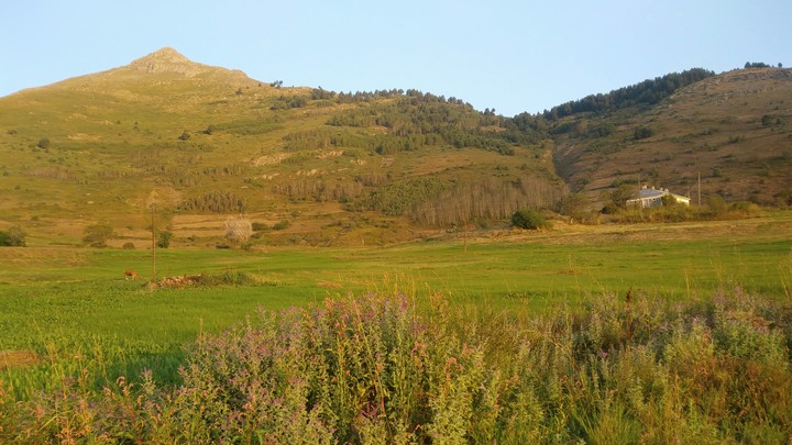 erzurum