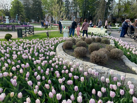 Petrozavodsk, Russia April