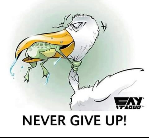 never give up..