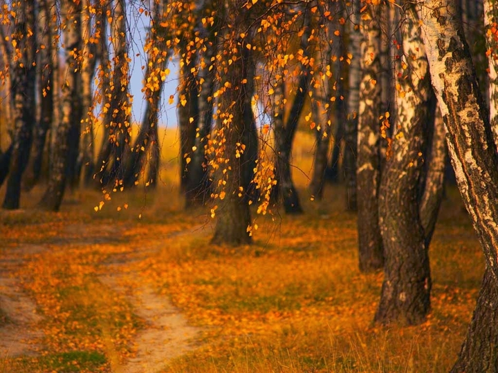 Autumn