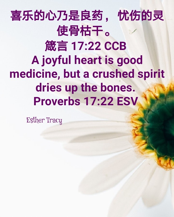 joyful heart is good medicine