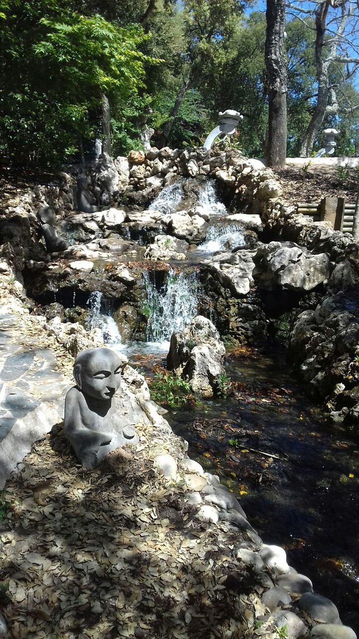 Buddhas