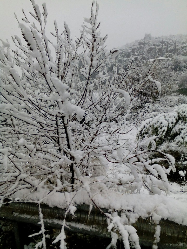 snow