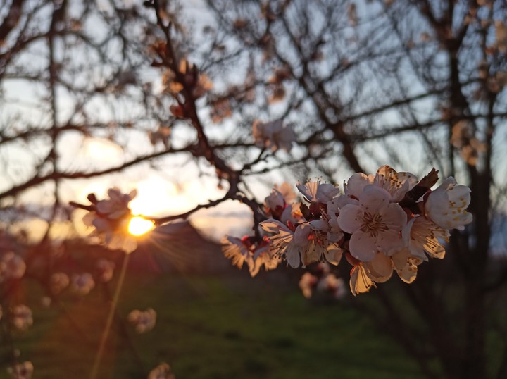 spring
