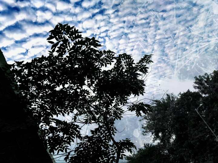 love nature..