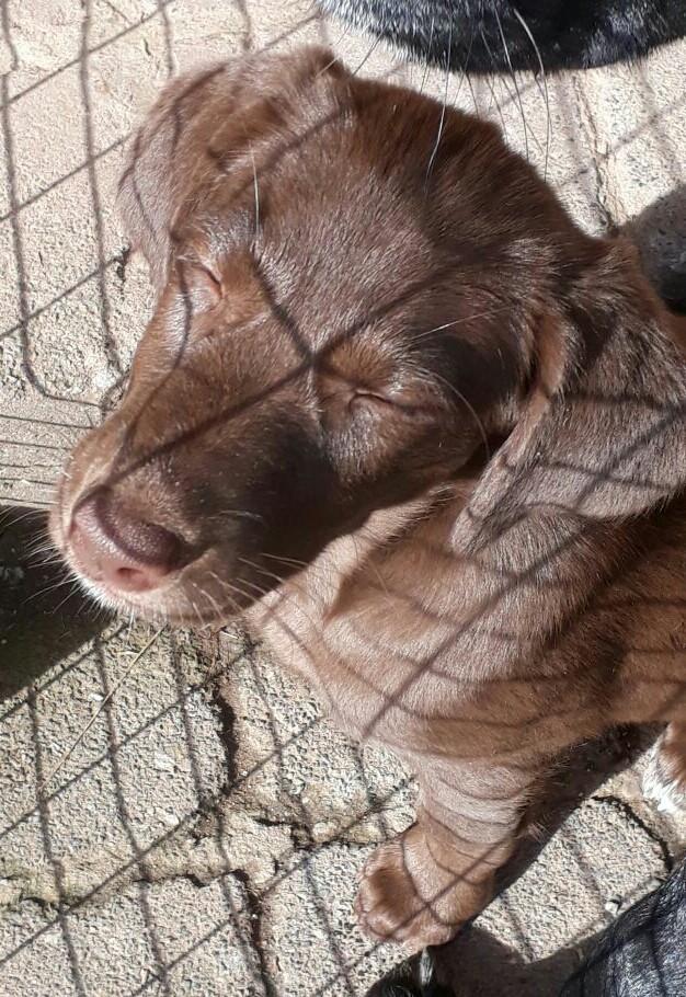 Luna