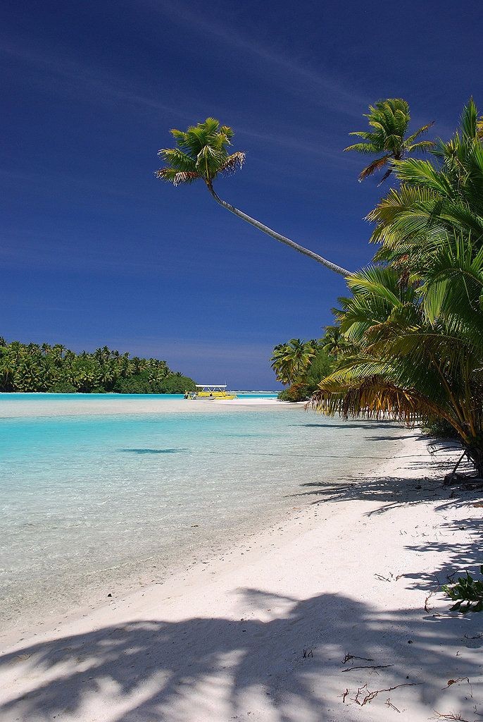 Paradise