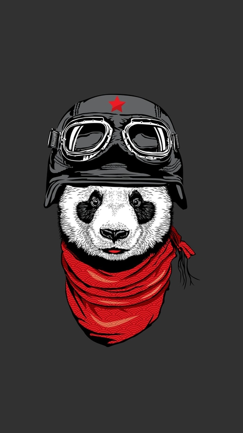 panda bear