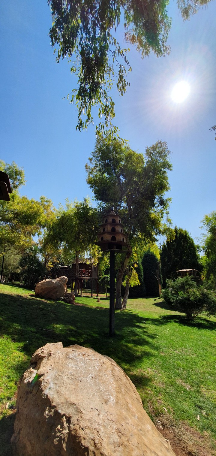 Bird house