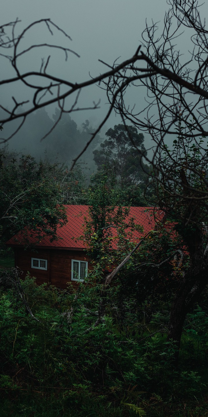 Home Rain