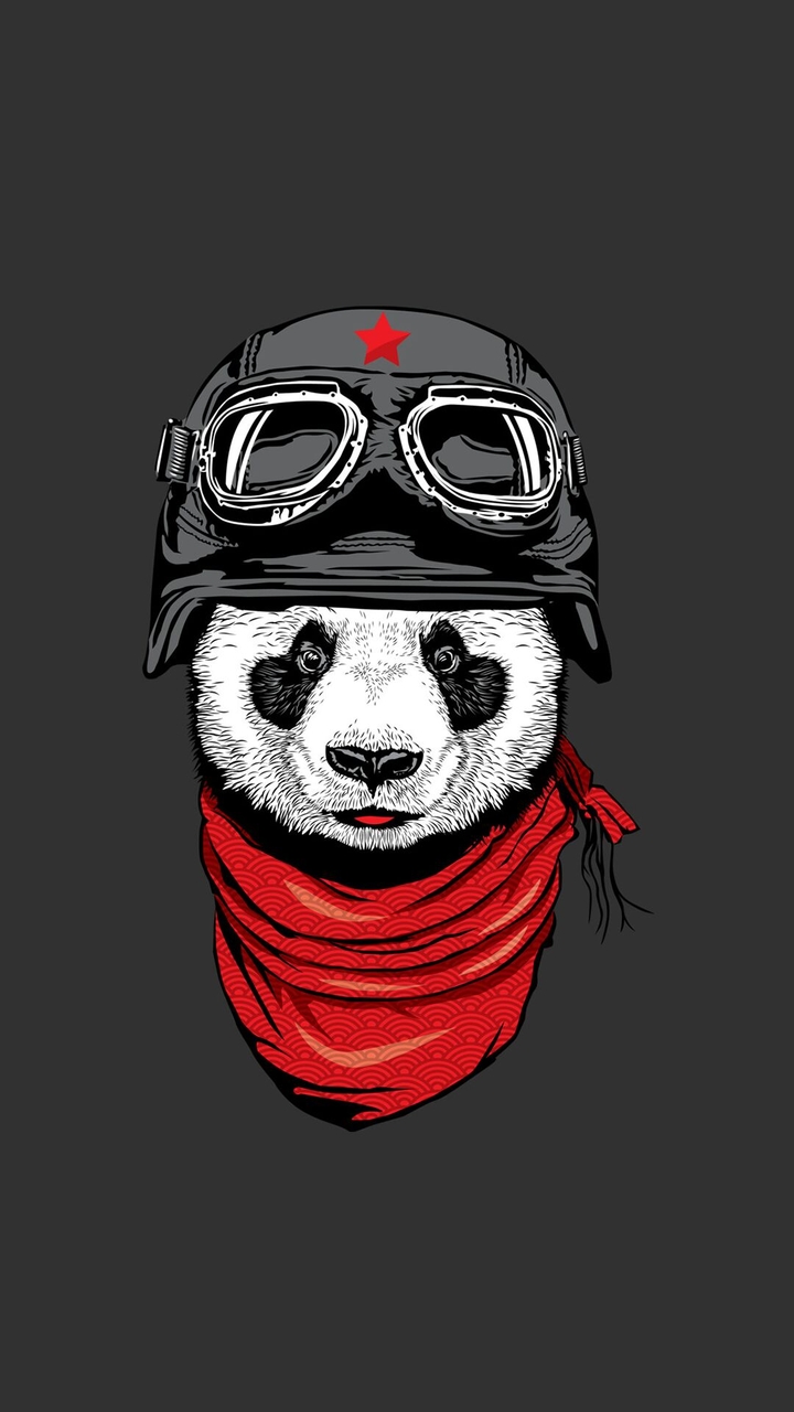panda bear