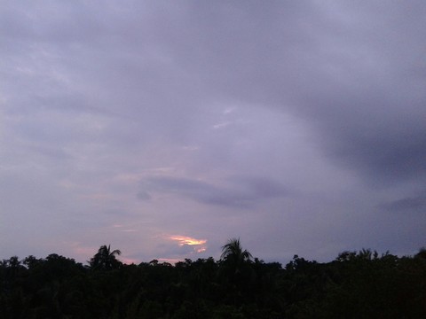 the morning