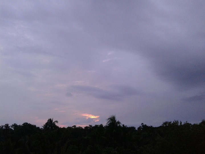the morning