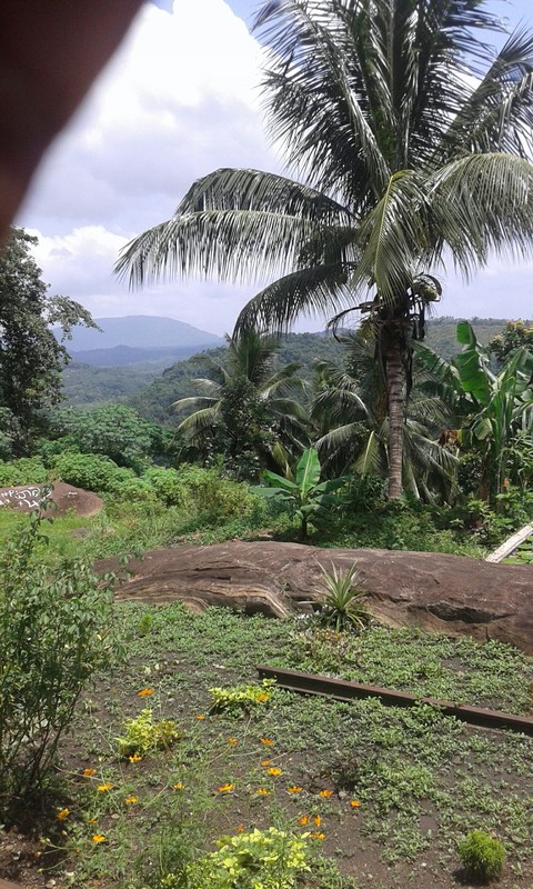 beautiful