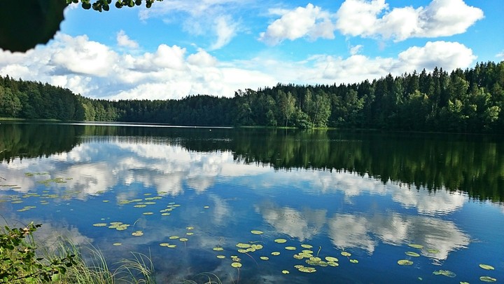 reflection