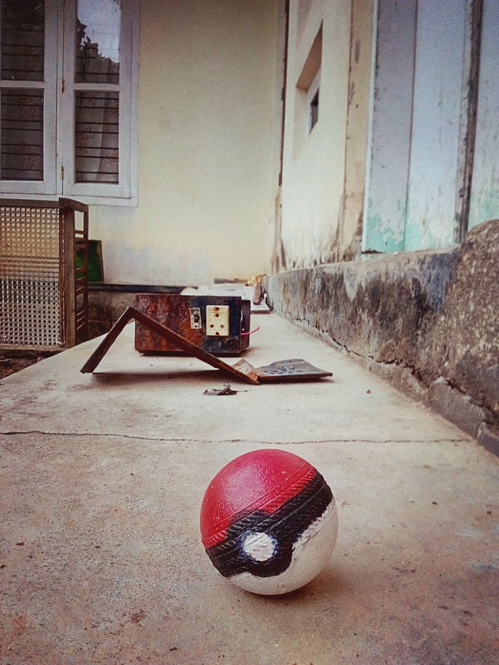nostalgic Pokeball.