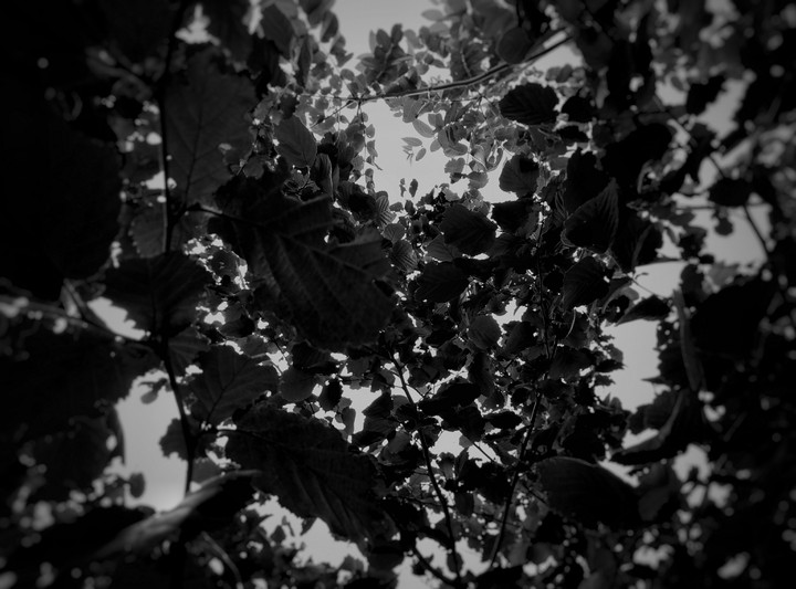 dark melancholy