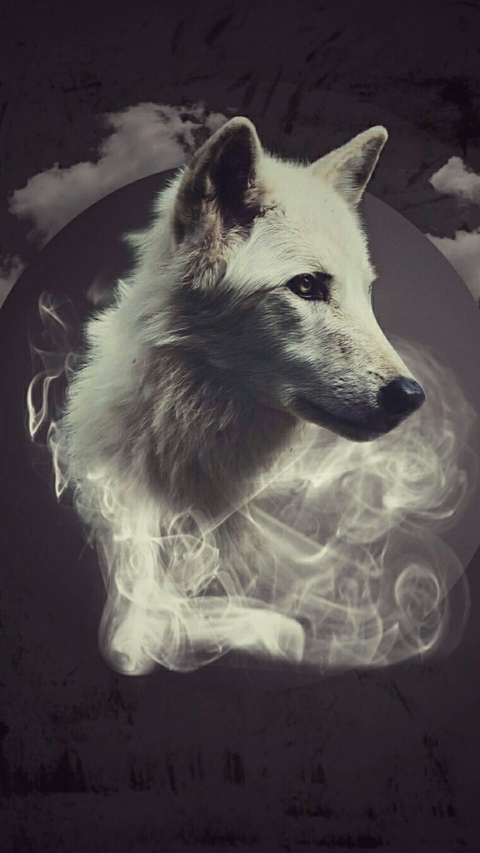 wolf smoke