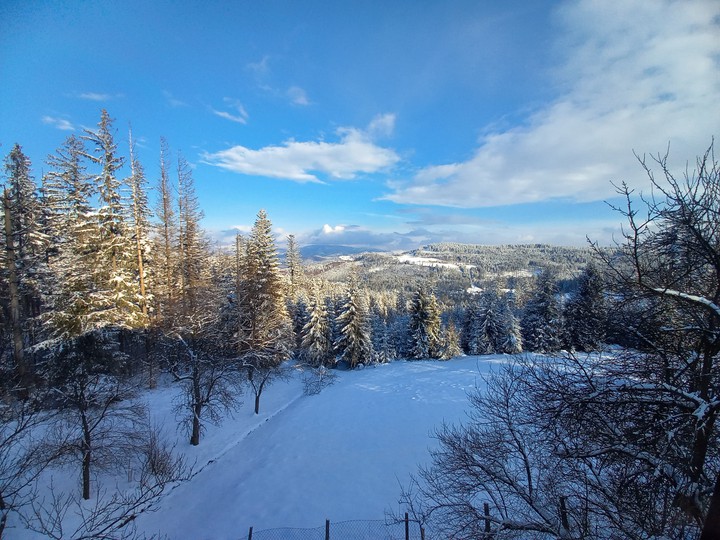 Wisła, Beskidy. Widok z okna