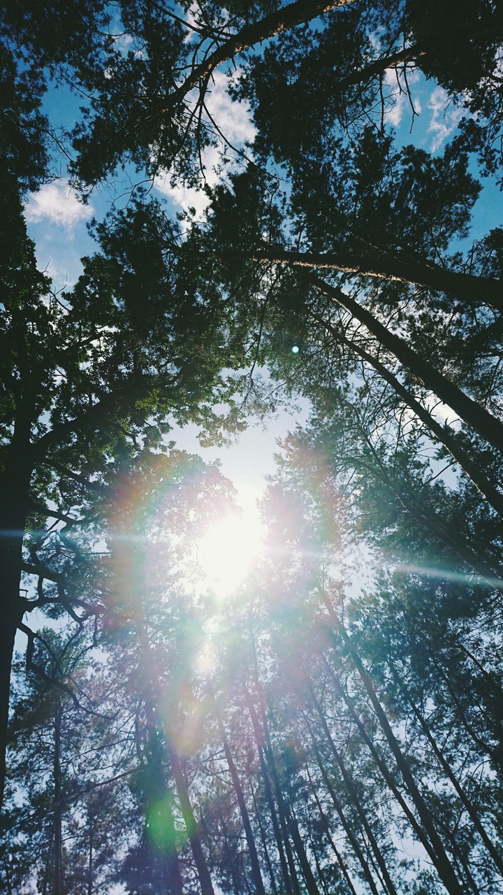 sunny day
