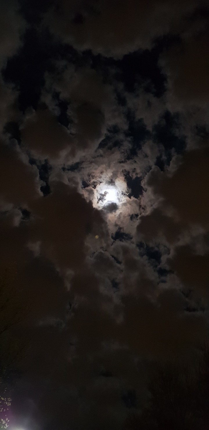 moon light