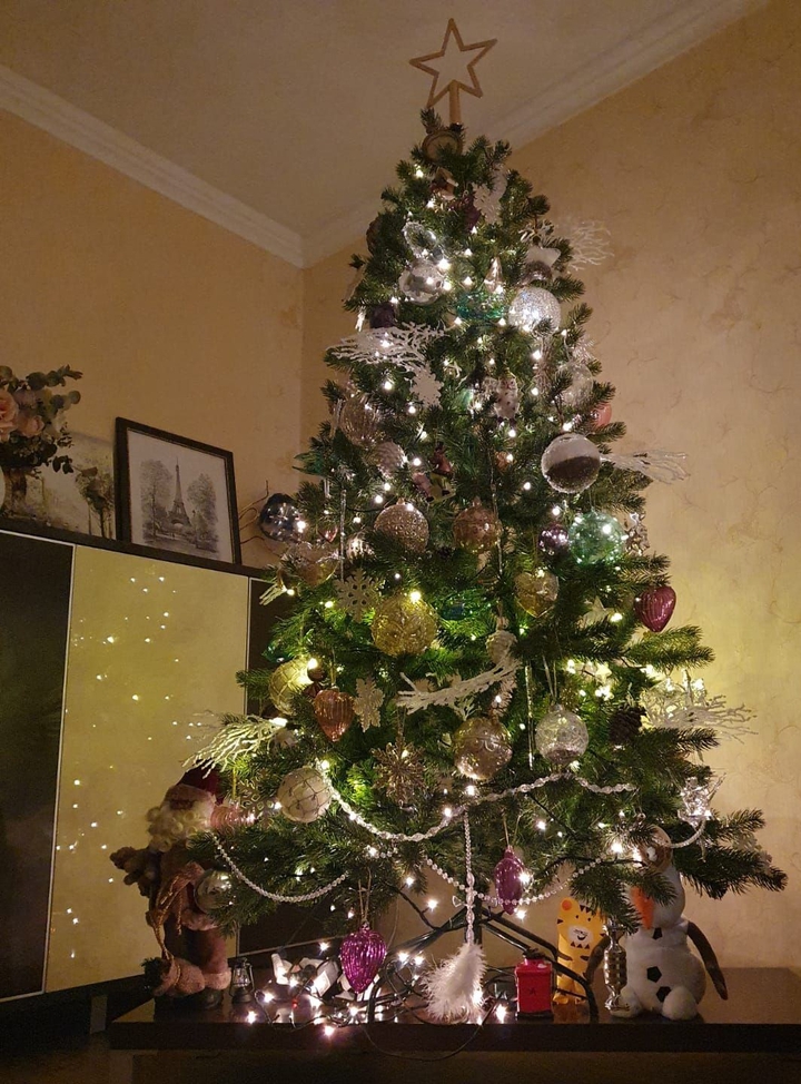 Merry Christmas
