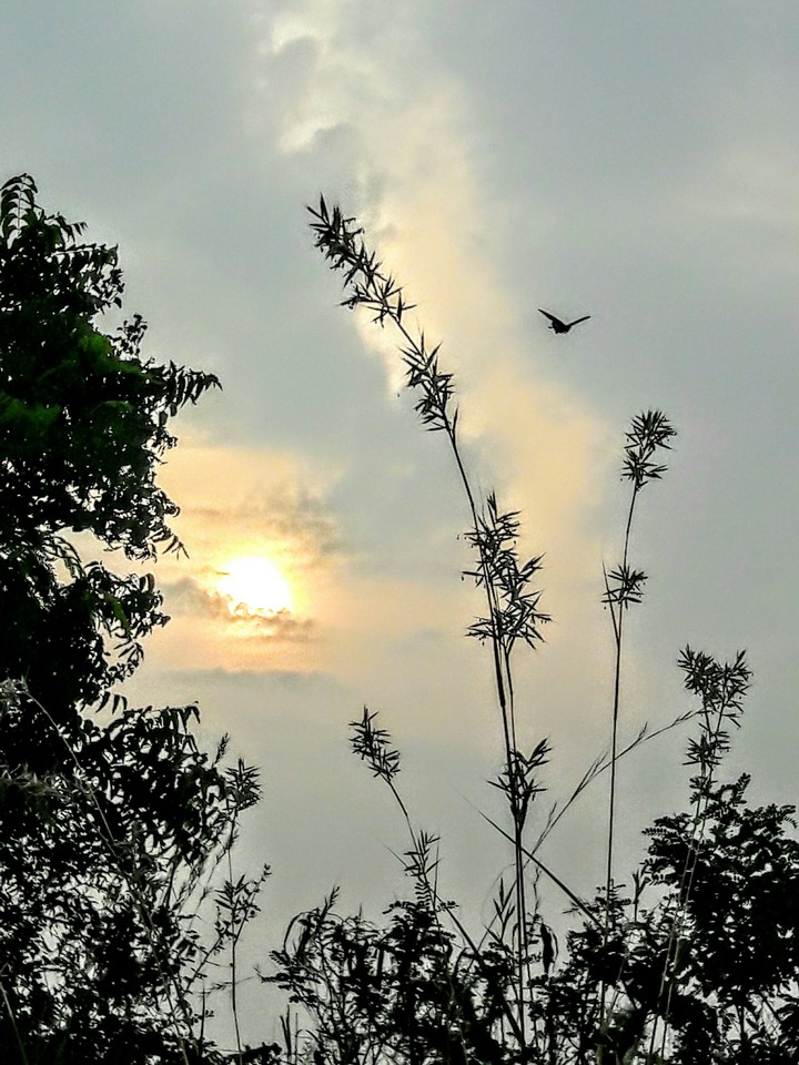 Good morning