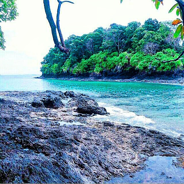 BEAUTIFUL TROPICS☀️