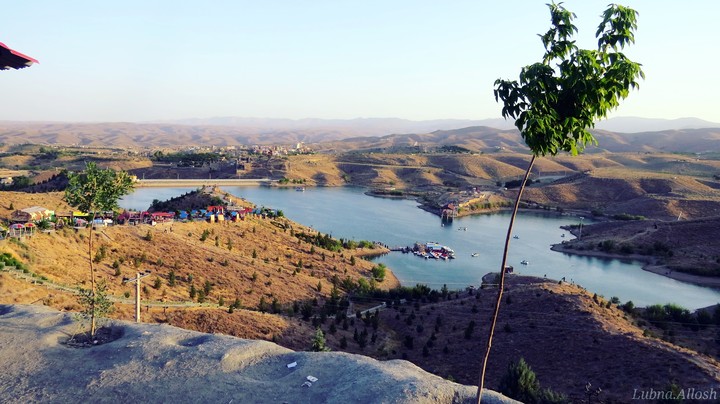 Landscape