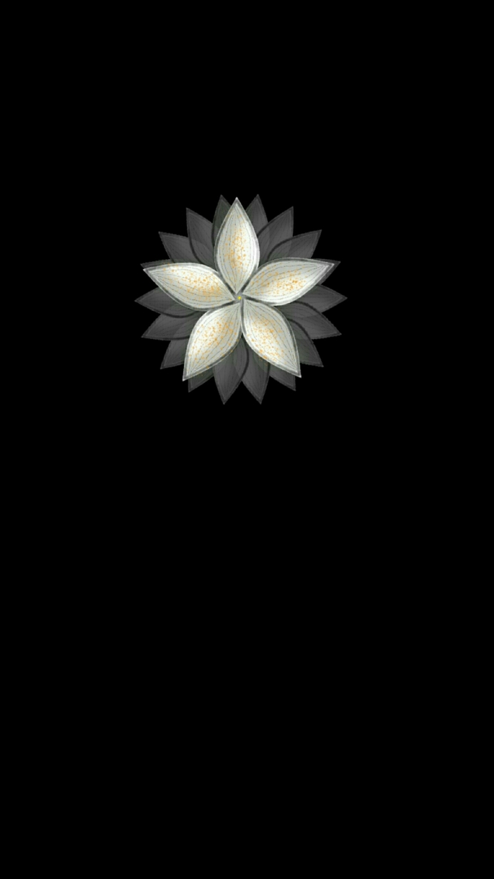 Artistic flowers 188