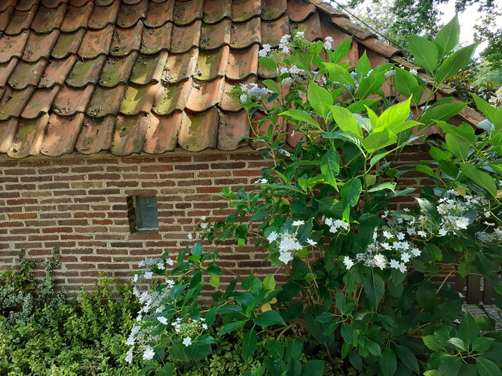 Drenthe