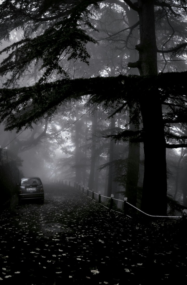Into the Woods.