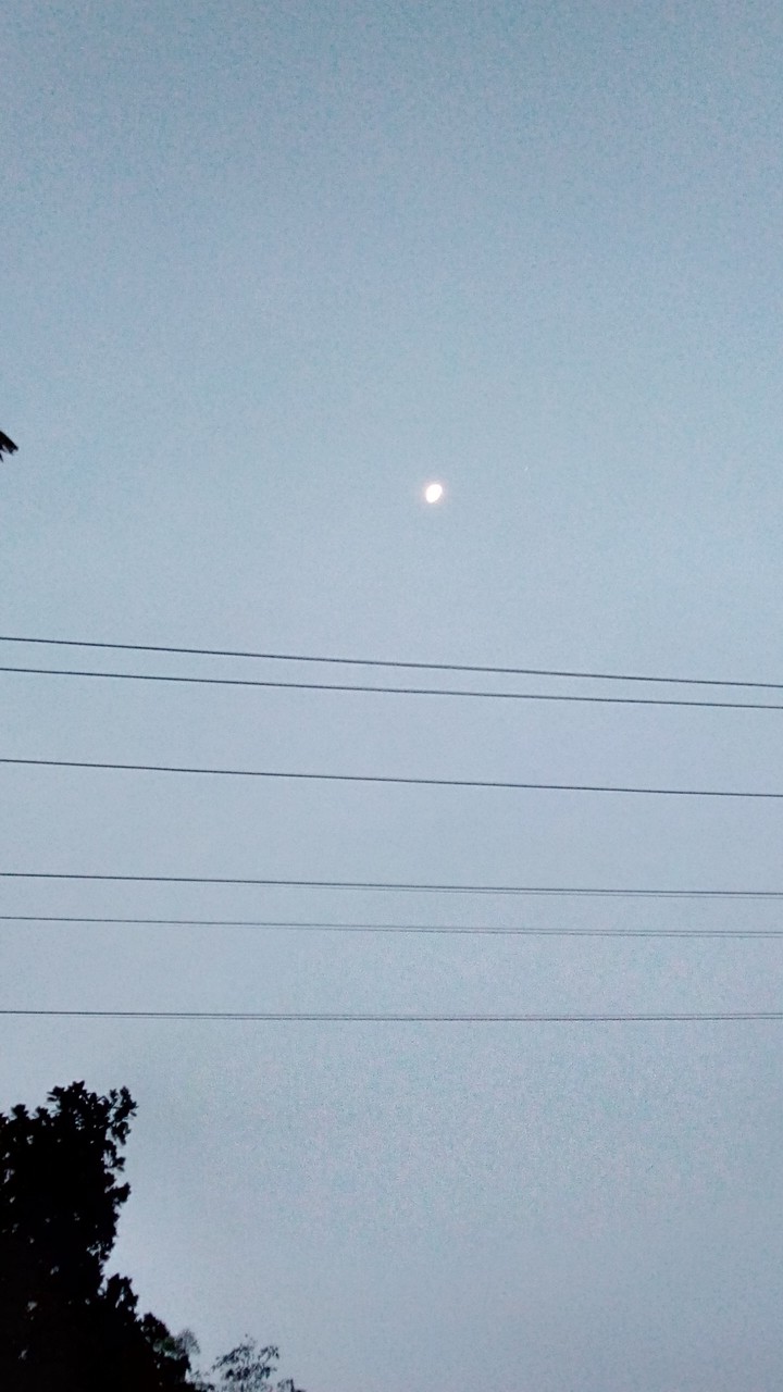 early mrng!