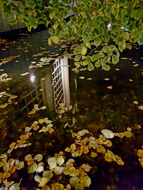 Autumn