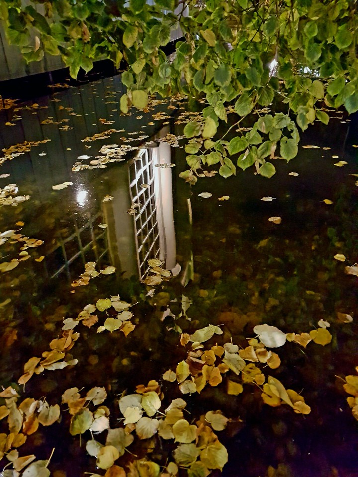 Autumn