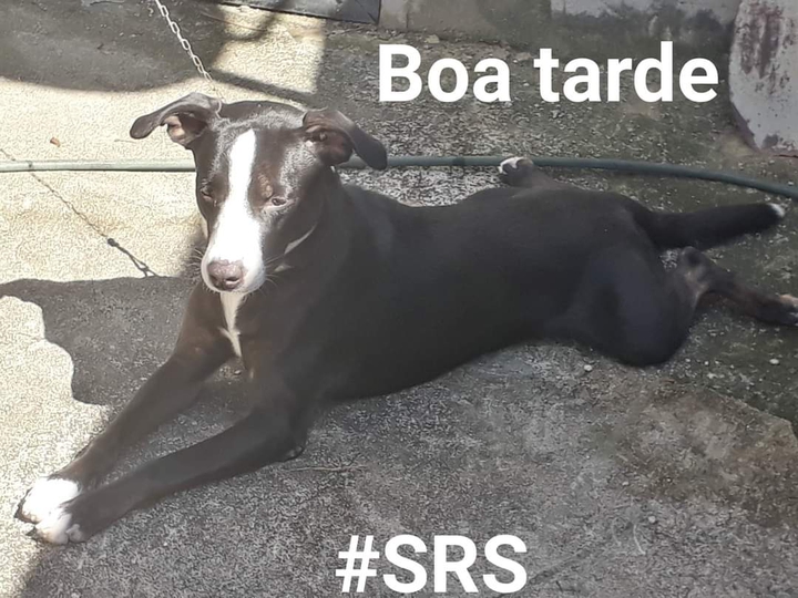#SRS