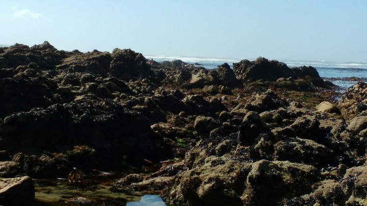 rocks