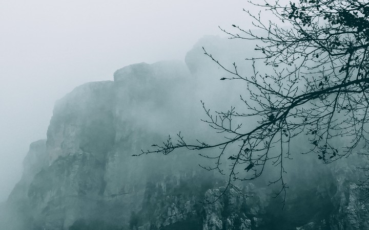 Fog
