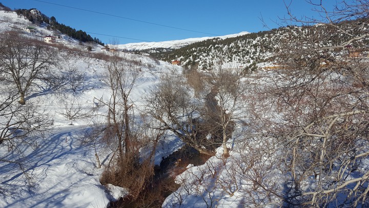 winter