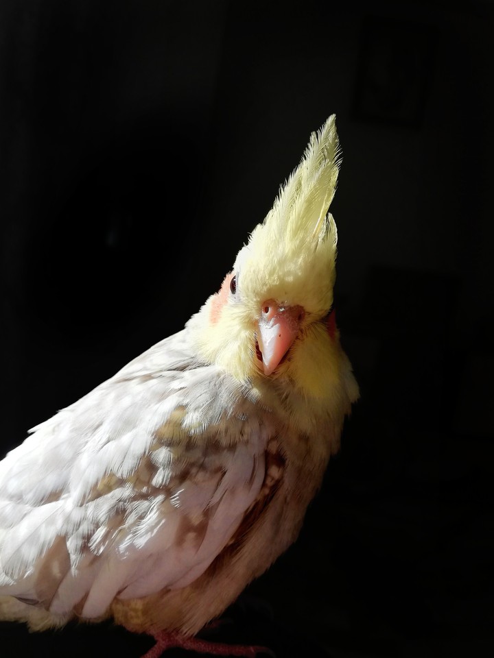 ?