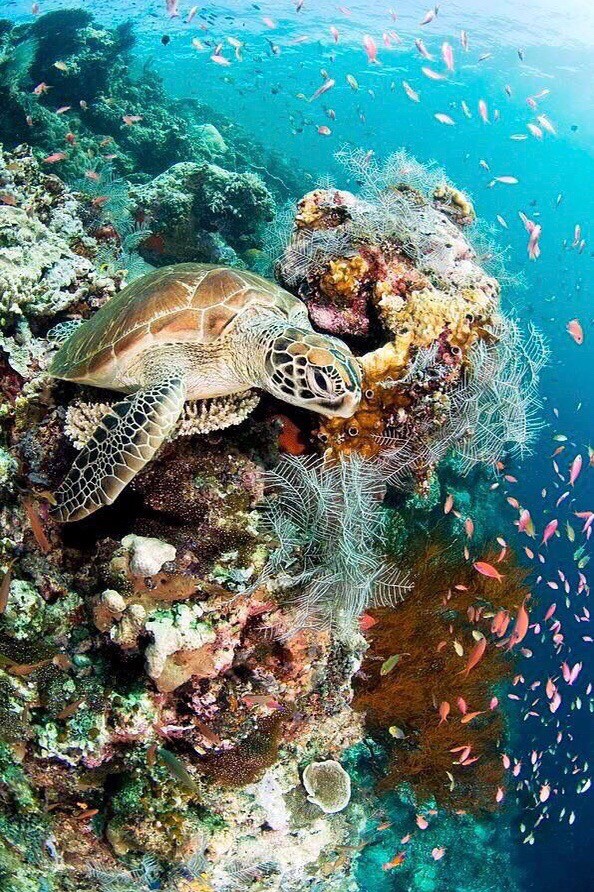 under water