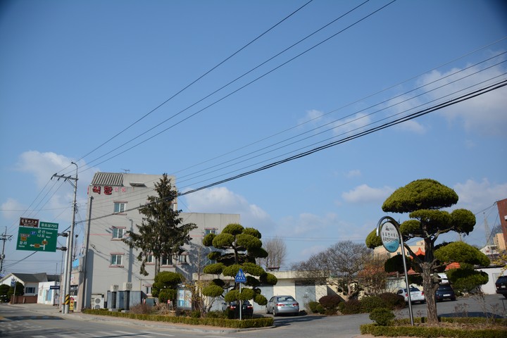 웅포이미지