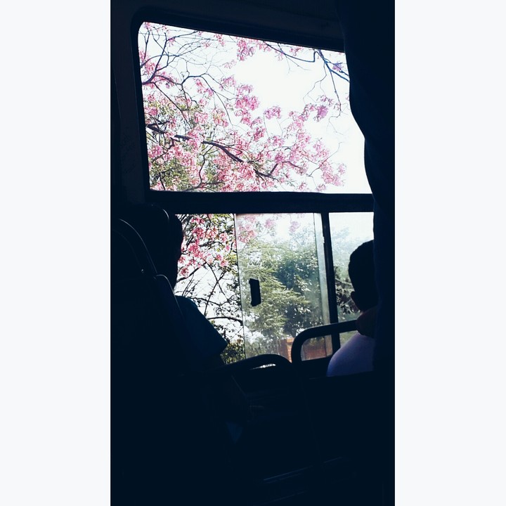 la flor en la vengana