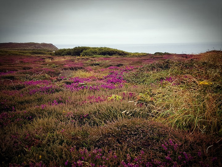 Cornwall