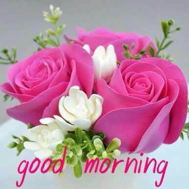 good morning