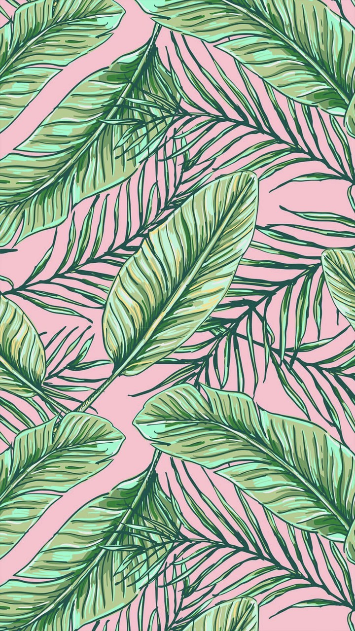 leaf ?